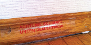 schimmel baheco